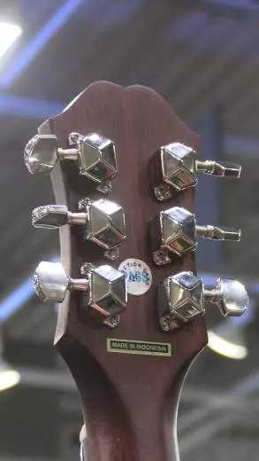 Epiphone - EANTANNH 2